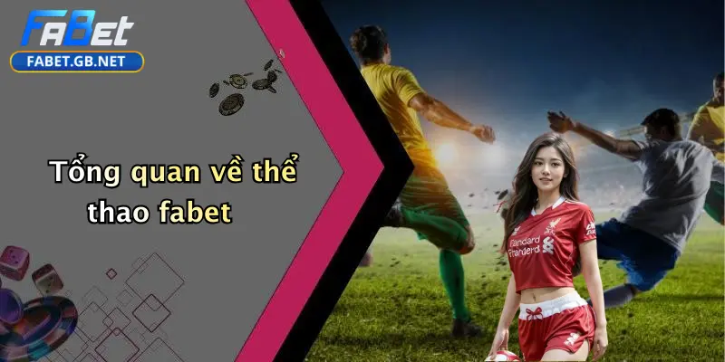 Thể thao FABET 1 Tổng quan về thể thao fabet
